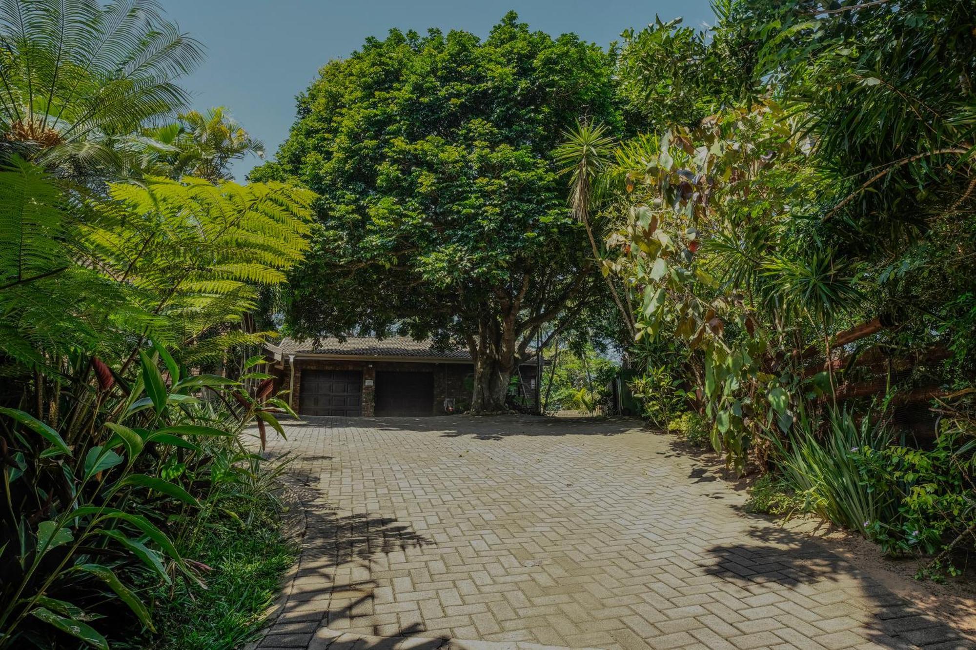 Pelican'S Nest Holiday Home Saint Lucia Estuary Exterior foto